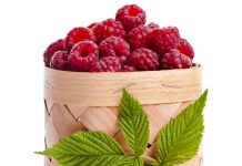 7 beneficii ale consumului de zmeura zmeura