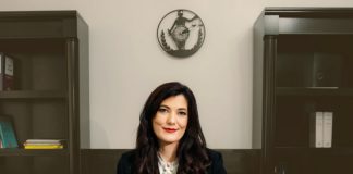 Domeniile de specialitate ale avocatului Simona Stolerciuc