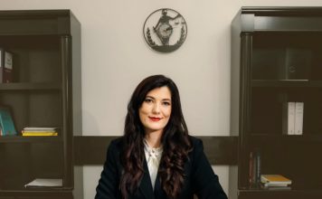 Domeniile de specialitate ale avocatului Simona Stolerciuc